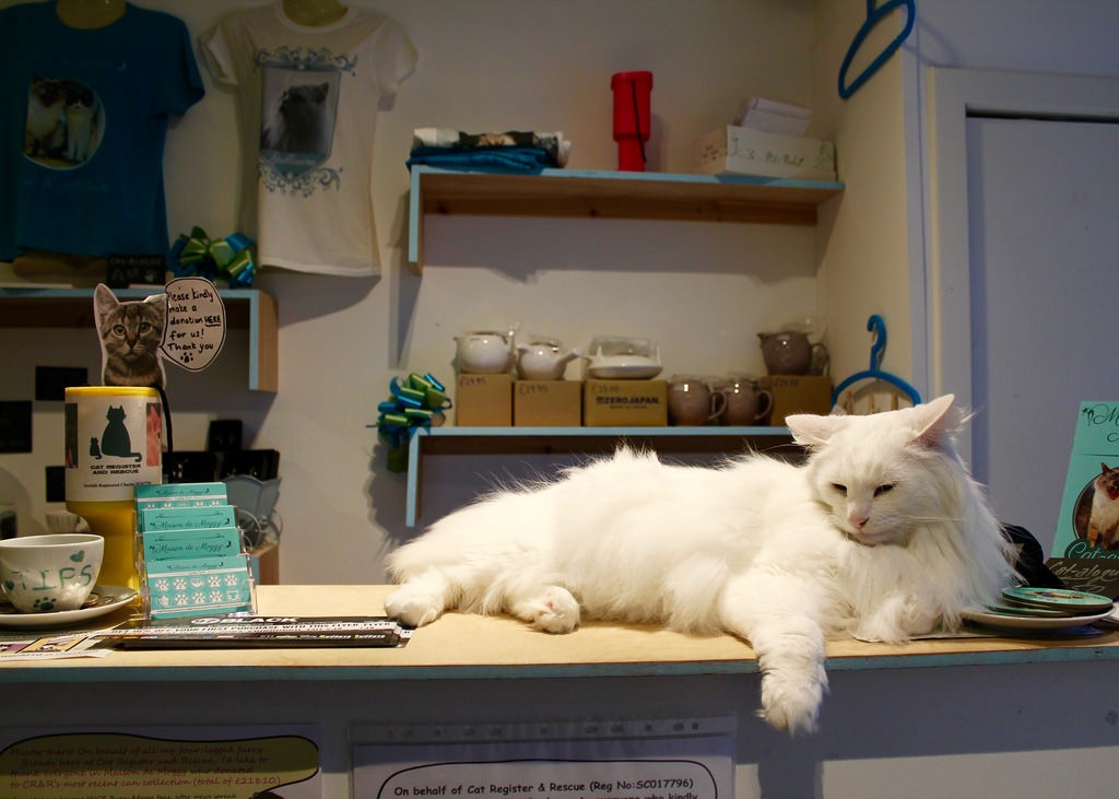 Toilet cong cong Malta vao top trai nghiem dang thu nhat nam 2018 anh 11