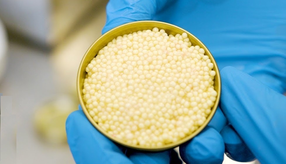 Trung ca tam trang - my thuc dat do cua the gioi hinh anh