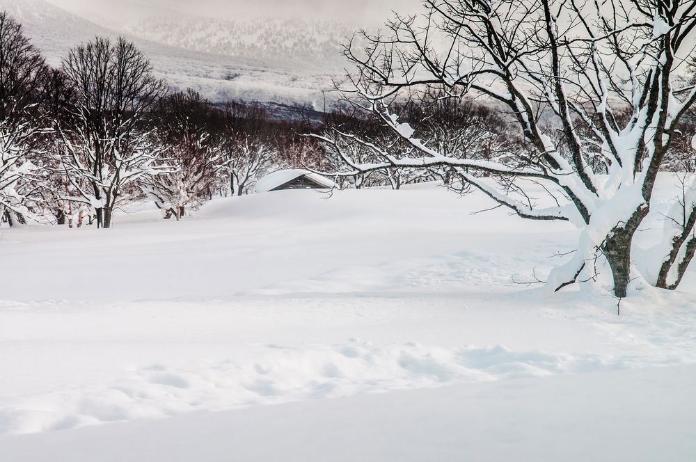 Nhung noi tuyet roi nhieu nhat the gioi anh 2