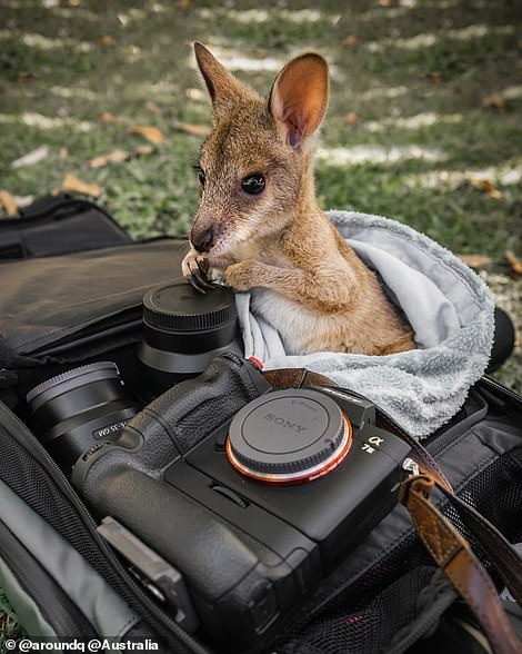 Những bức ảnh đẹp trên instagram ảnh 11 Nhung buc anh dep tren instagram anh 11