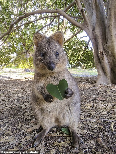 Những bức ảnh đẹp trên instagram ảnh 12 Nhung buc anh dep tren instagram anh 12