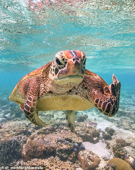 Những bức ảnh đẹp trên instagram ảnh 2 Nhung buc anh dep tren instagram anh 2