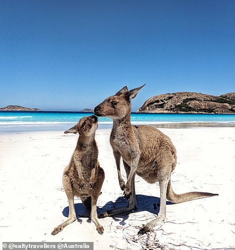 Những bức ảnh đẹp trên instagram ảnh 4 Nhung buc anh dep tren instagram anh 4