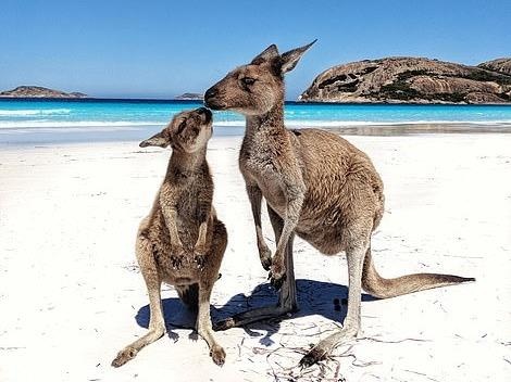 Du lich Australia qua nhung buc anh hot nhat Instagram 2018 hinh anh