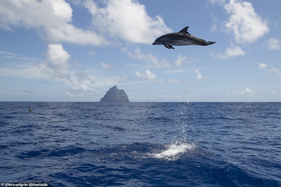 Những bức ảnh đẹp trên instagram ảnh 5 Nhung buc anh dep tren instagram anh 5