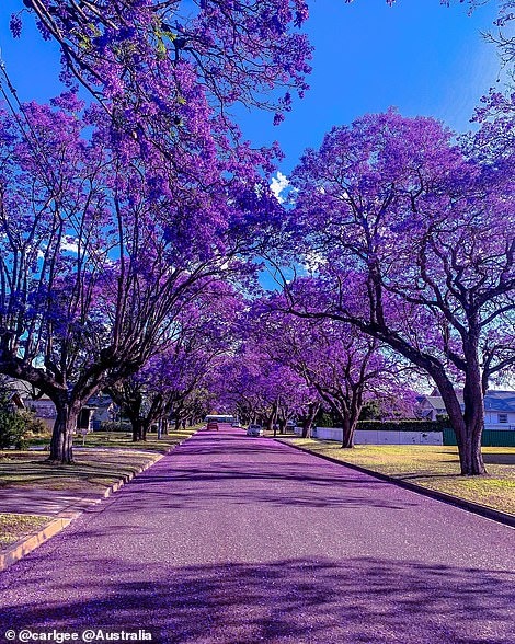 Những bức ảnh đẹp trên instagram ảnh 6 Nhung buc anh dep tren instagram anh 6