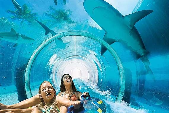 Toi Tay Ban Nha, truot mang nuoc xuyen qua be ca map hinh anh