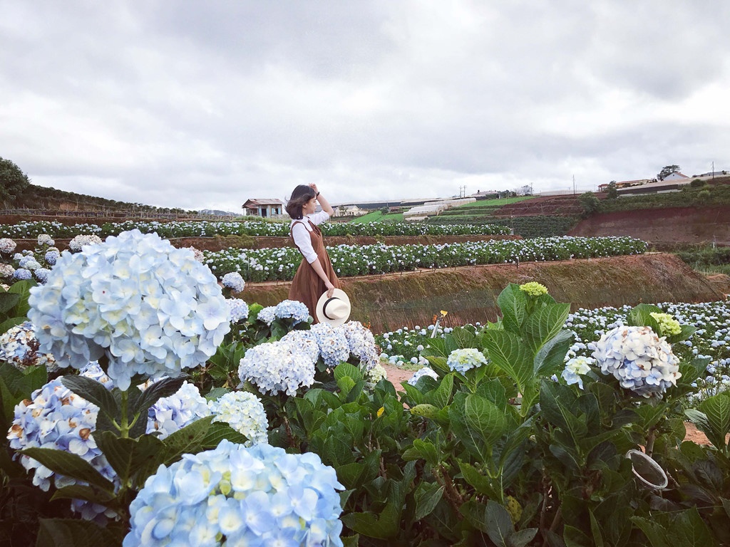 Nhung dia diem tranh ret anh 5