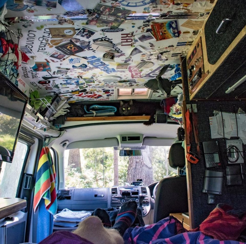 Chang trai du lich cung chu meo anh 3