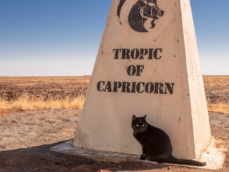 Chang trai du lich cung chu meo anh 7