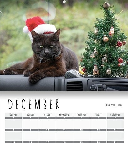 Chang trai du lich cung chu meo anh 13