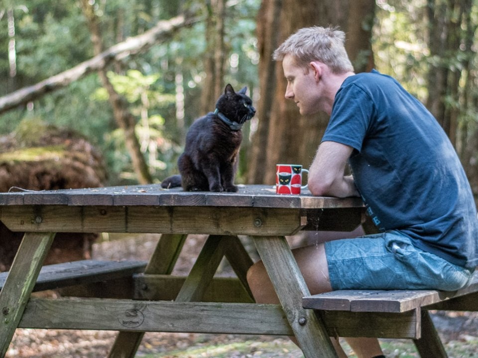 Chang trai du lich cung chu meo anh 14