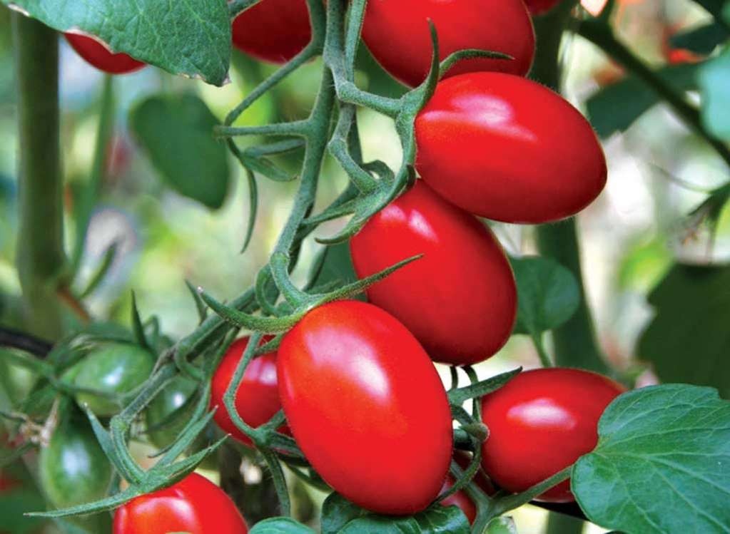 thuc pham lam dep da anh 4