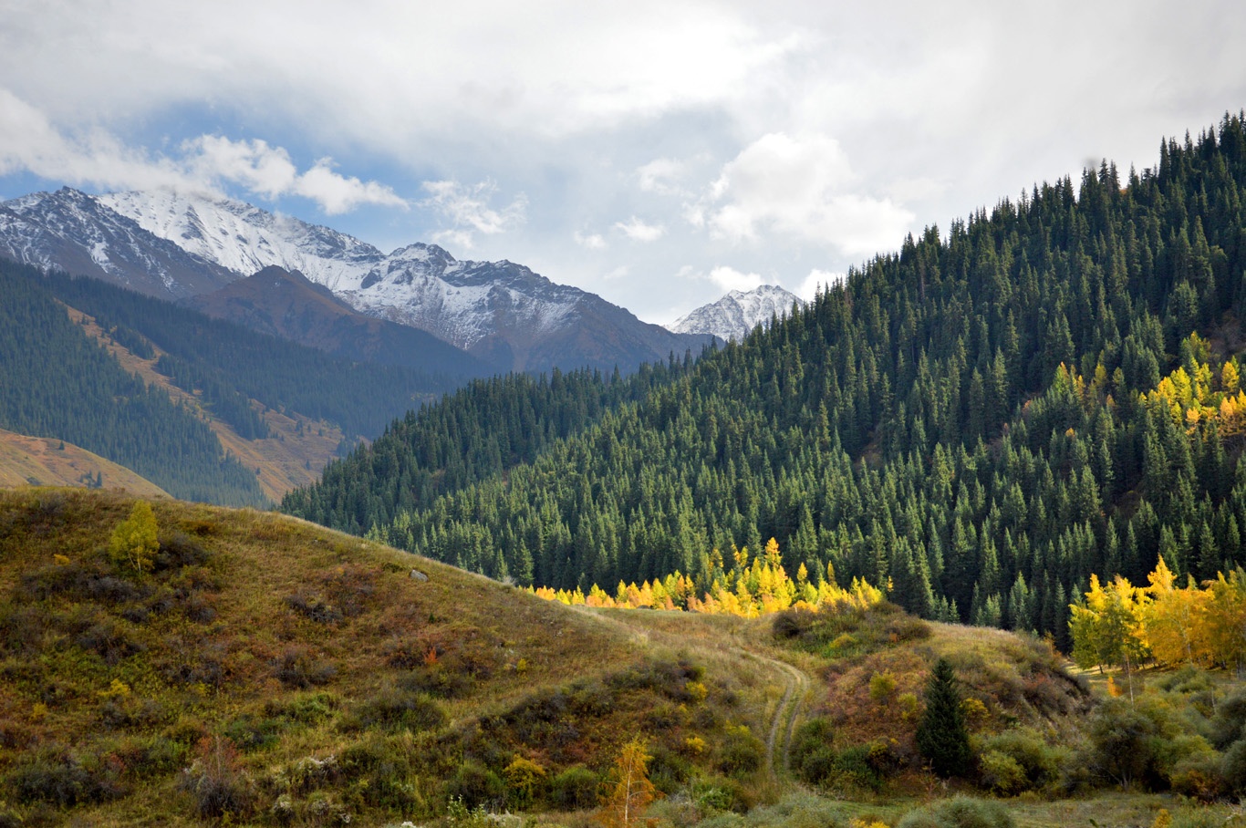 Ho nuoc hut khach nho hien tuong cay ‘moc nguoc’ ky la anh 10