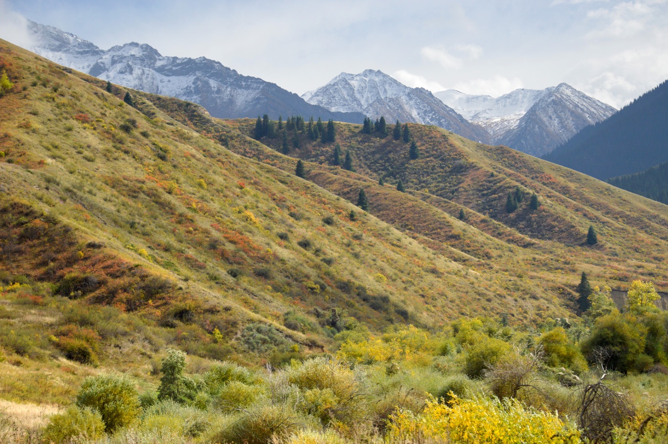 Ho nuoc hut khach nho hien tuong cay ‘moc nguoc’ ky la anh 11