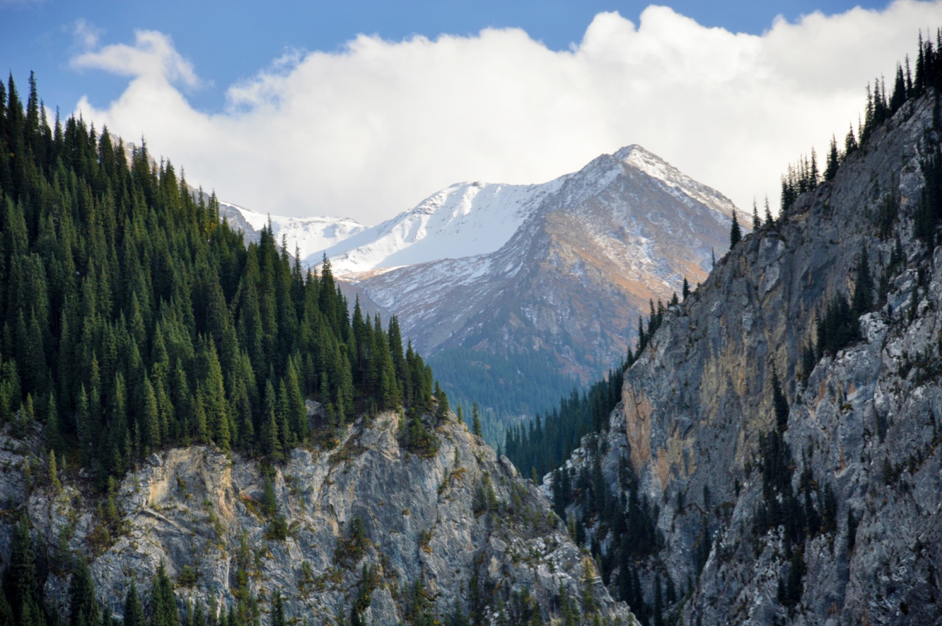 Ho nuoc hut khach nho hien tuong cay ‘moc nguoc’ ky la anh 9