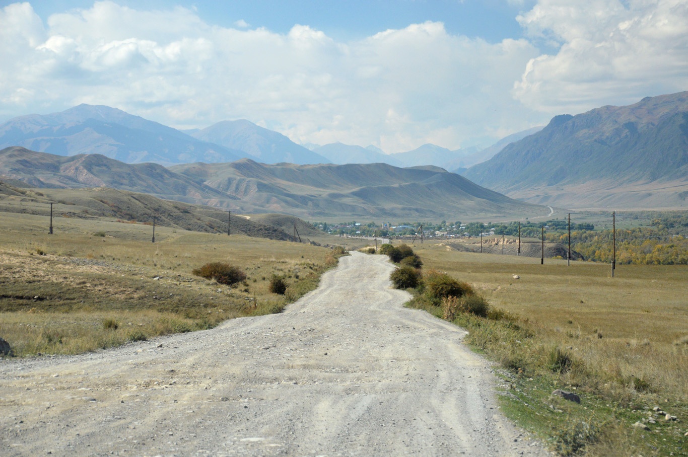 Ho nuoc hut khach nho hien tuong cay ‘moc nguoc’ ky la anh 12