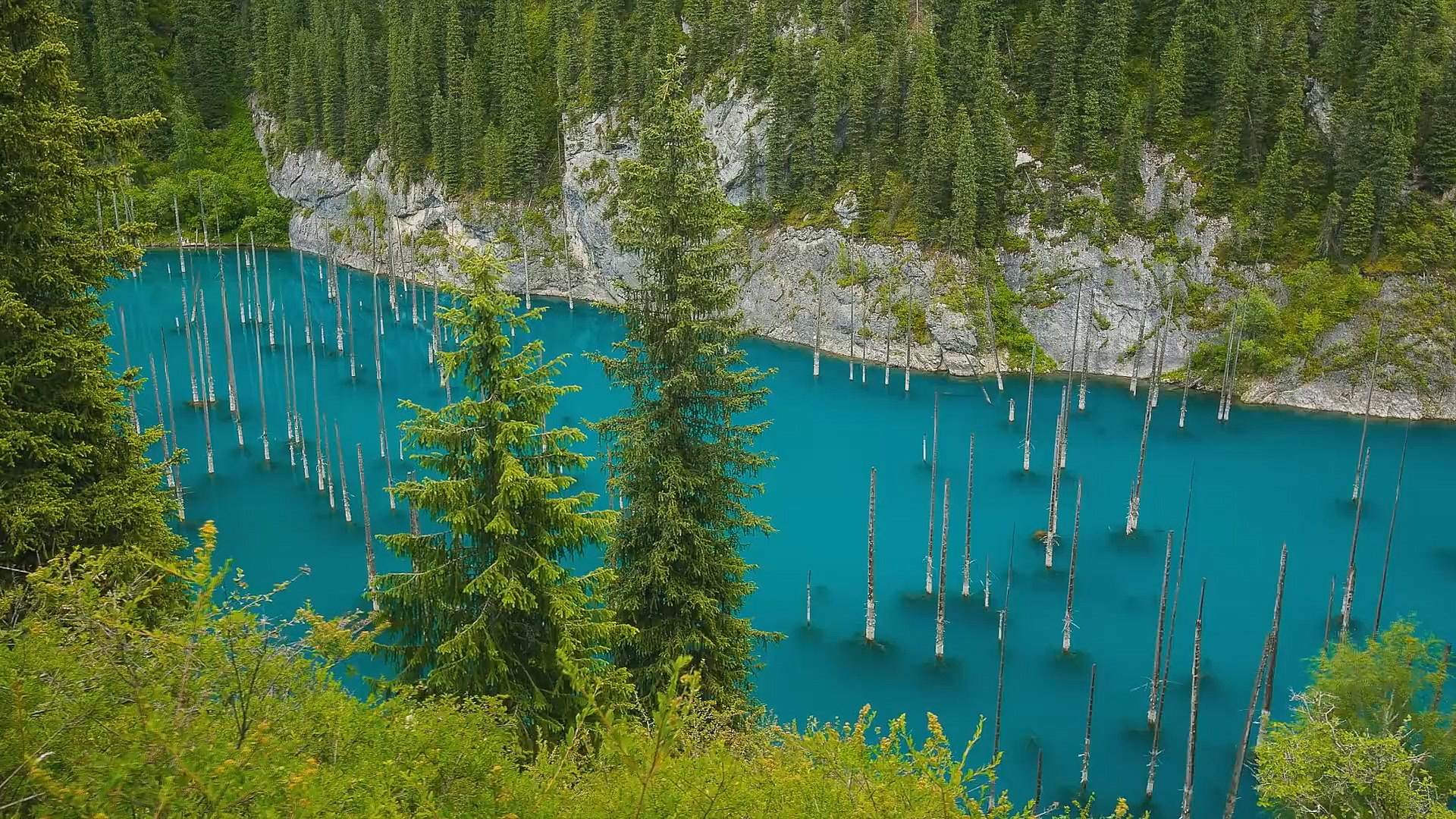 Ho nuoc hut khach nho hien tuong cay ‘moc nguoc’ ky la anh 1