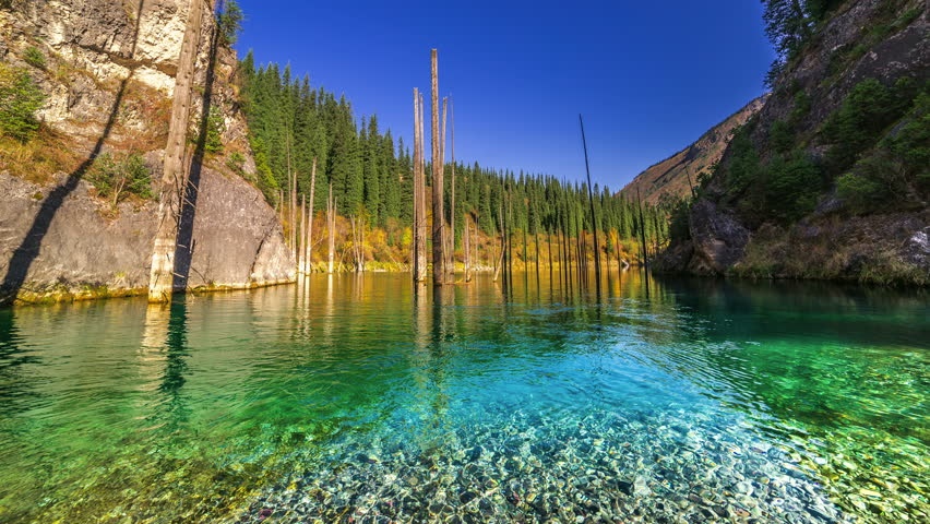 Ho nuoc hut khach nho hien tuong cay ‘moc nguoc’ ky la anh 8