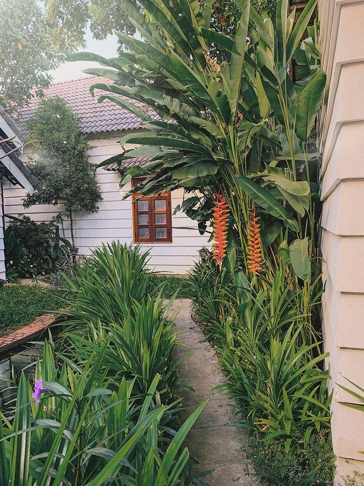 Du lich Kon Tum anh 6