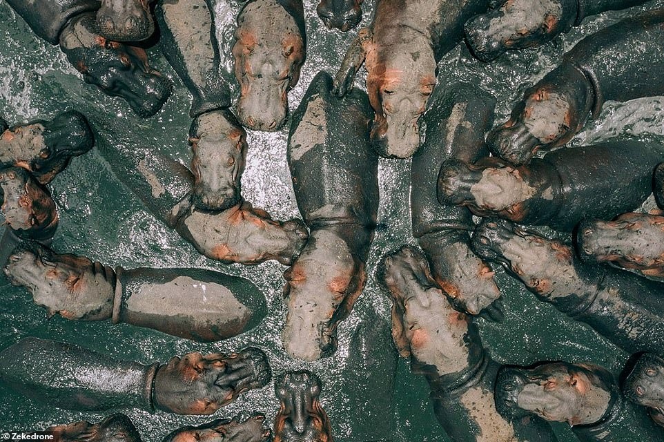 Nhung buc anh dep nhat the gioi anh 1