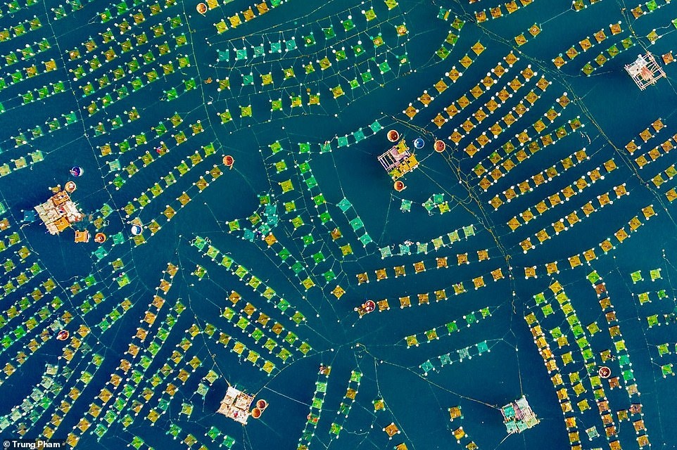 Nhung buc anh dep nhat the gioi anh 6