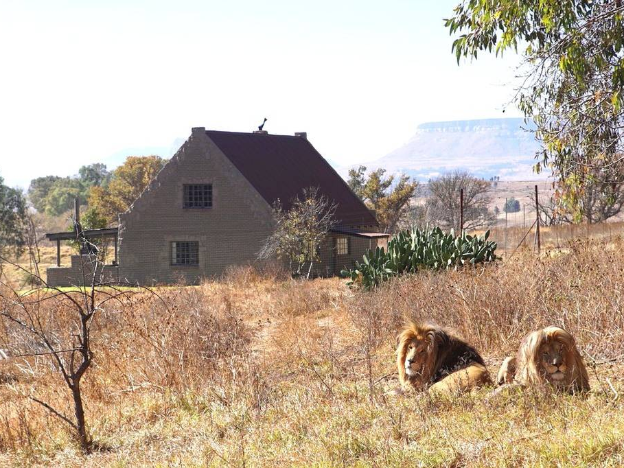 Du khach chi ca tram USD mot dem de ngu giua 77 con su tu hinh anh