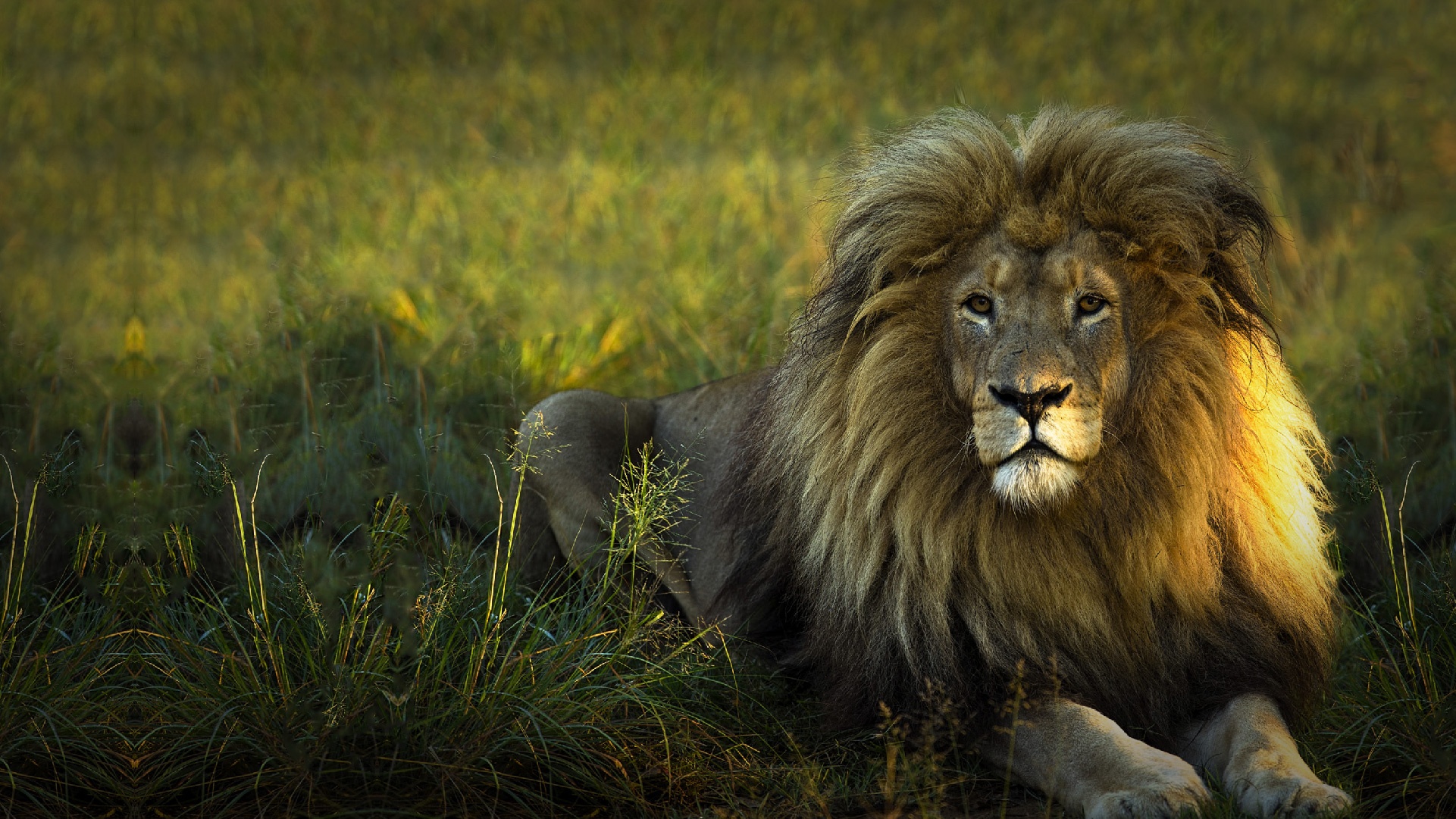 Du khach chi ca tram USD mot dem de ngu giua 77 con su tu anh 11