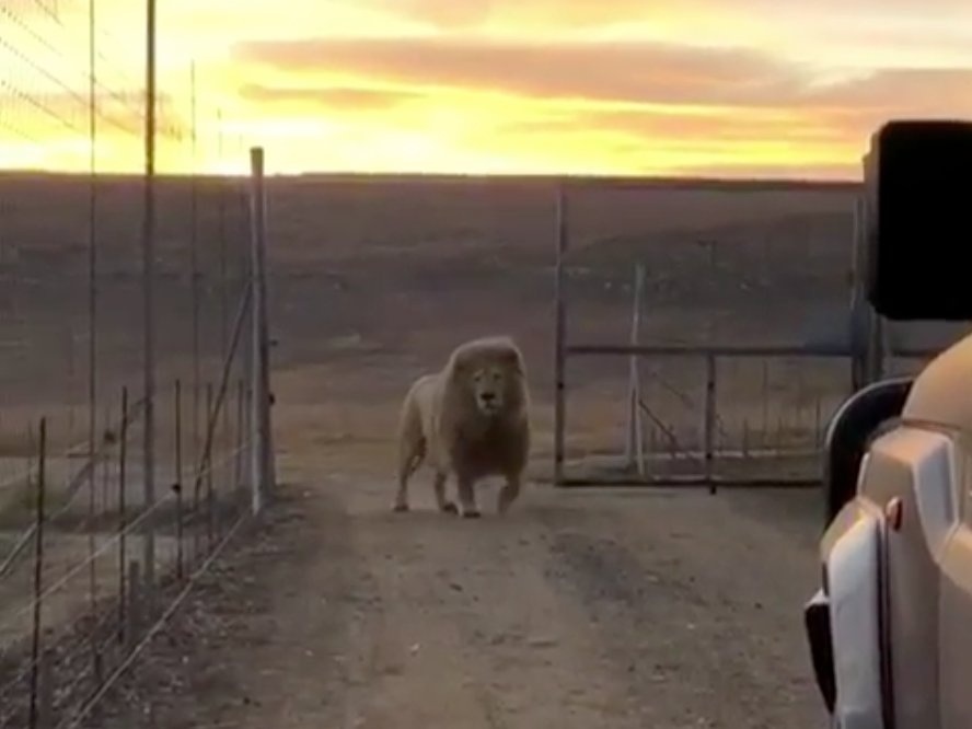 Du khach chi ca tram USD mot dem de ngu giua 77 con su tu anh 2