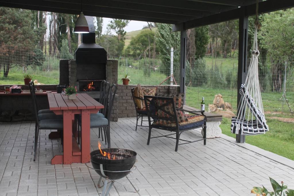 Du khach chi ca tram USD mot dem de ngu giua 77 con su tu anh 3