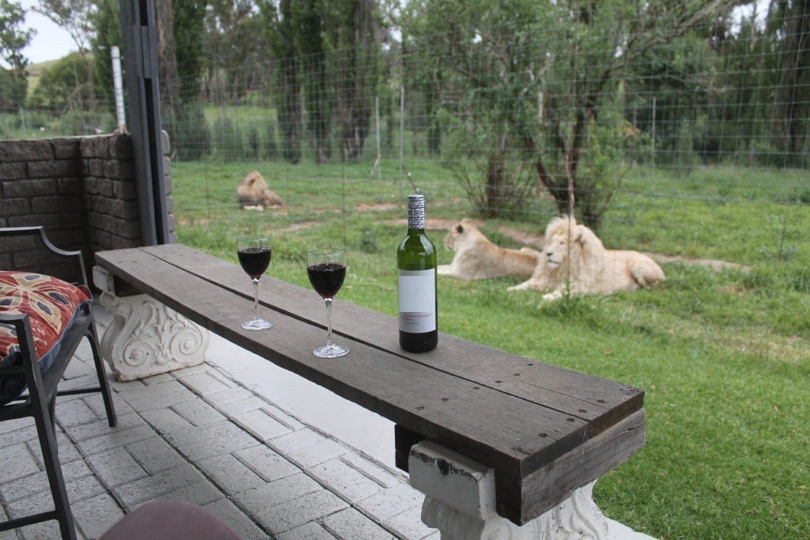 Du khach chi ca tram USD mot dem de ngu giua 77 con su tu anh 4