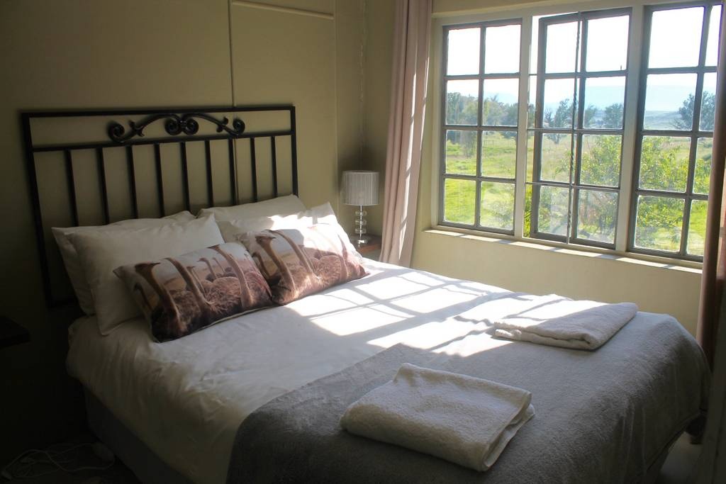 Du khach chi ca tram USD mot dem de ngu giua 77 con su tu anh 5