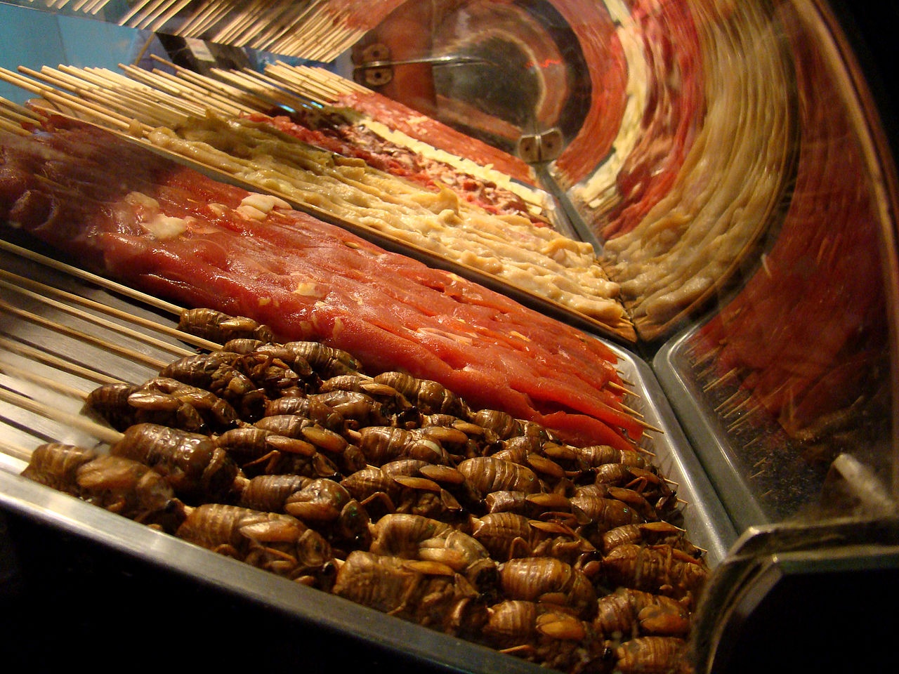 Nhung loai con trung an duoc anh 11