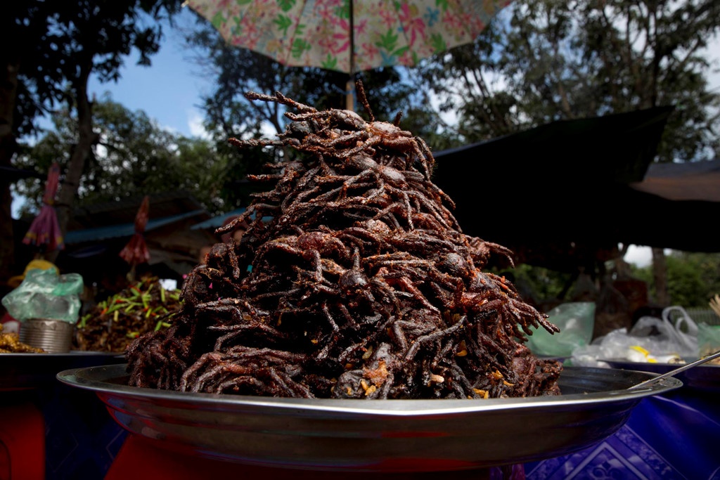 Nhung loai con trung an duoc anh 6