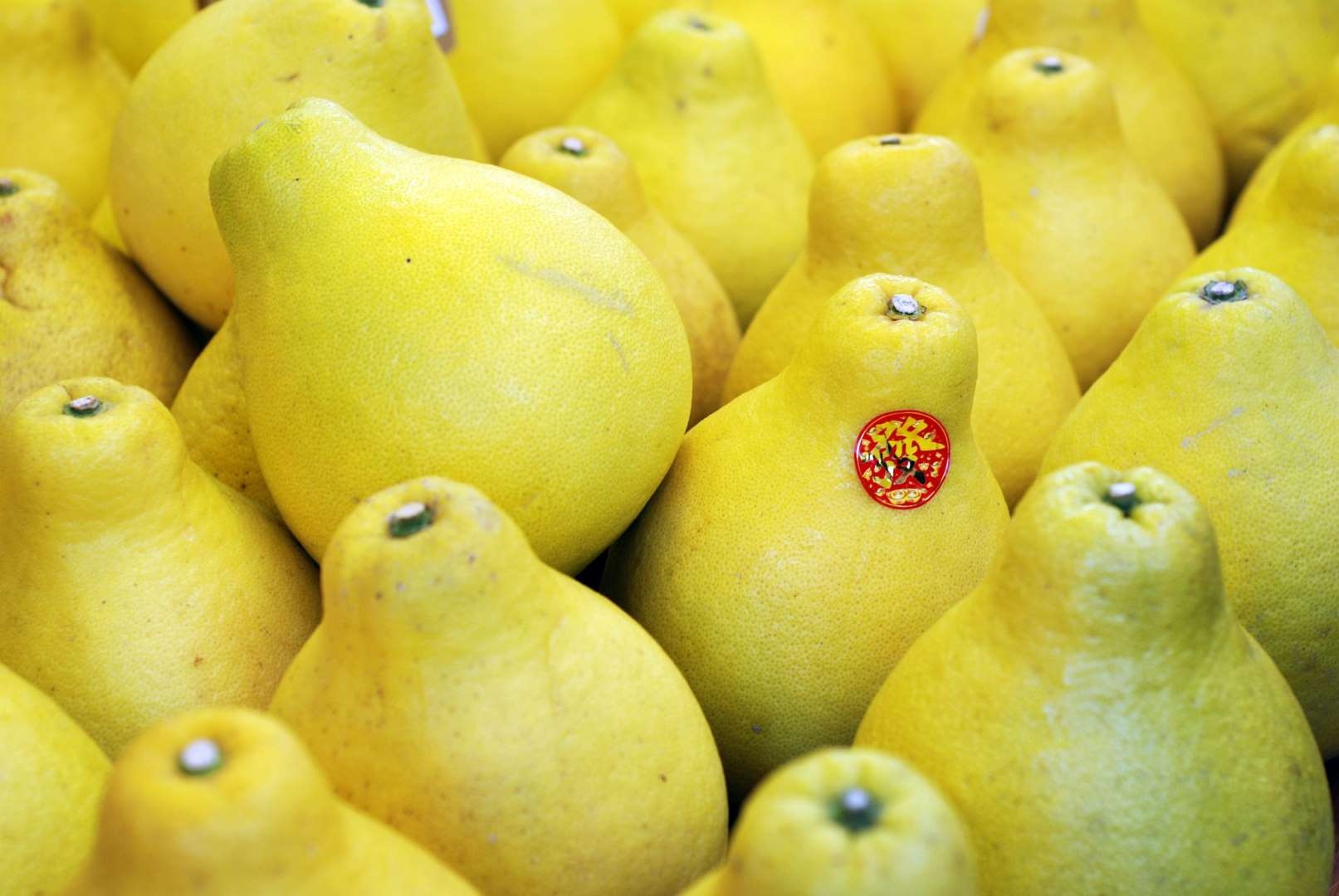 Thuc pham mang lai tai loc may man anh 1