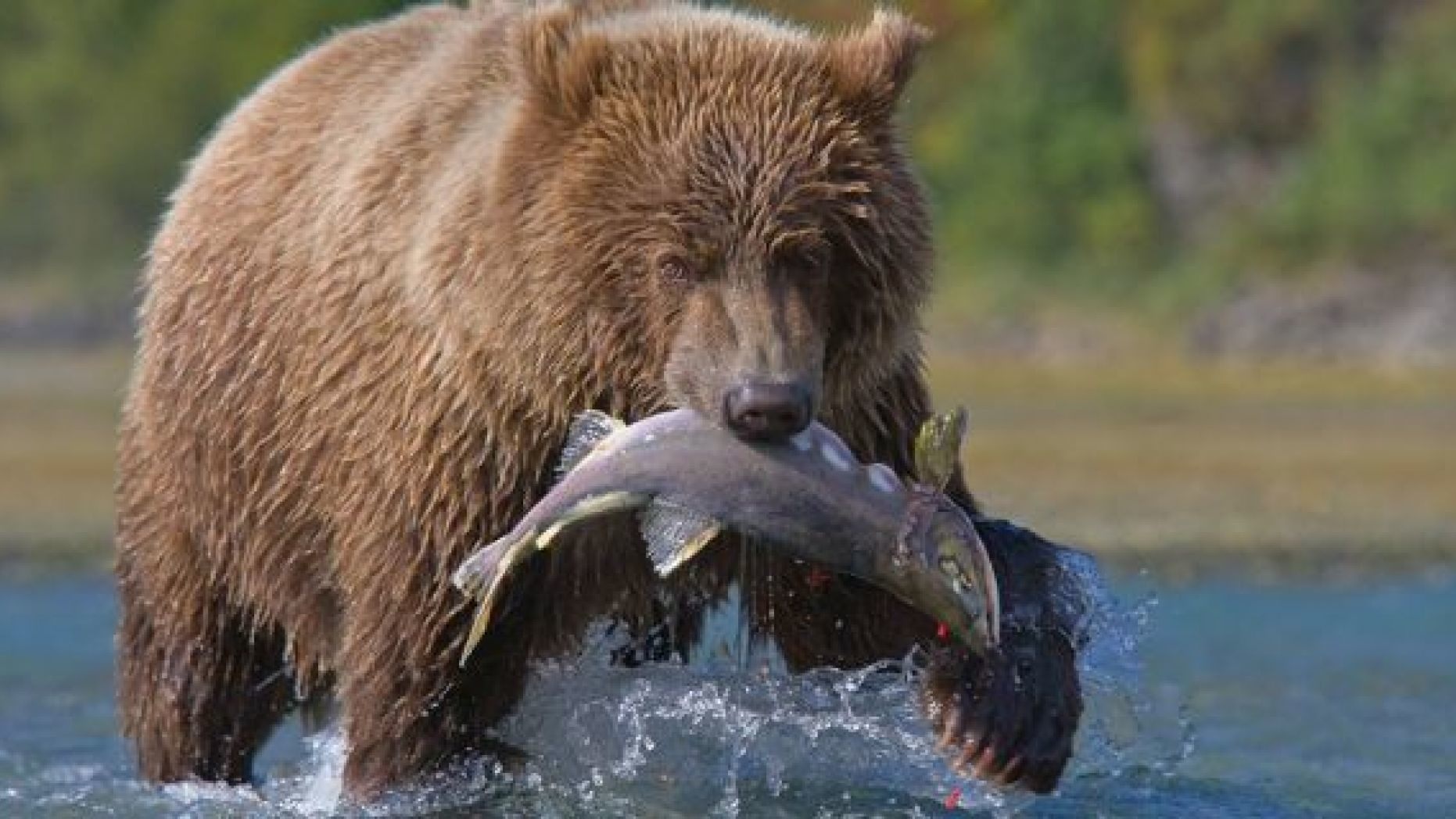 So thu cho khach dat ten nguoi yeu cu cho gian,  ran doc anh 1