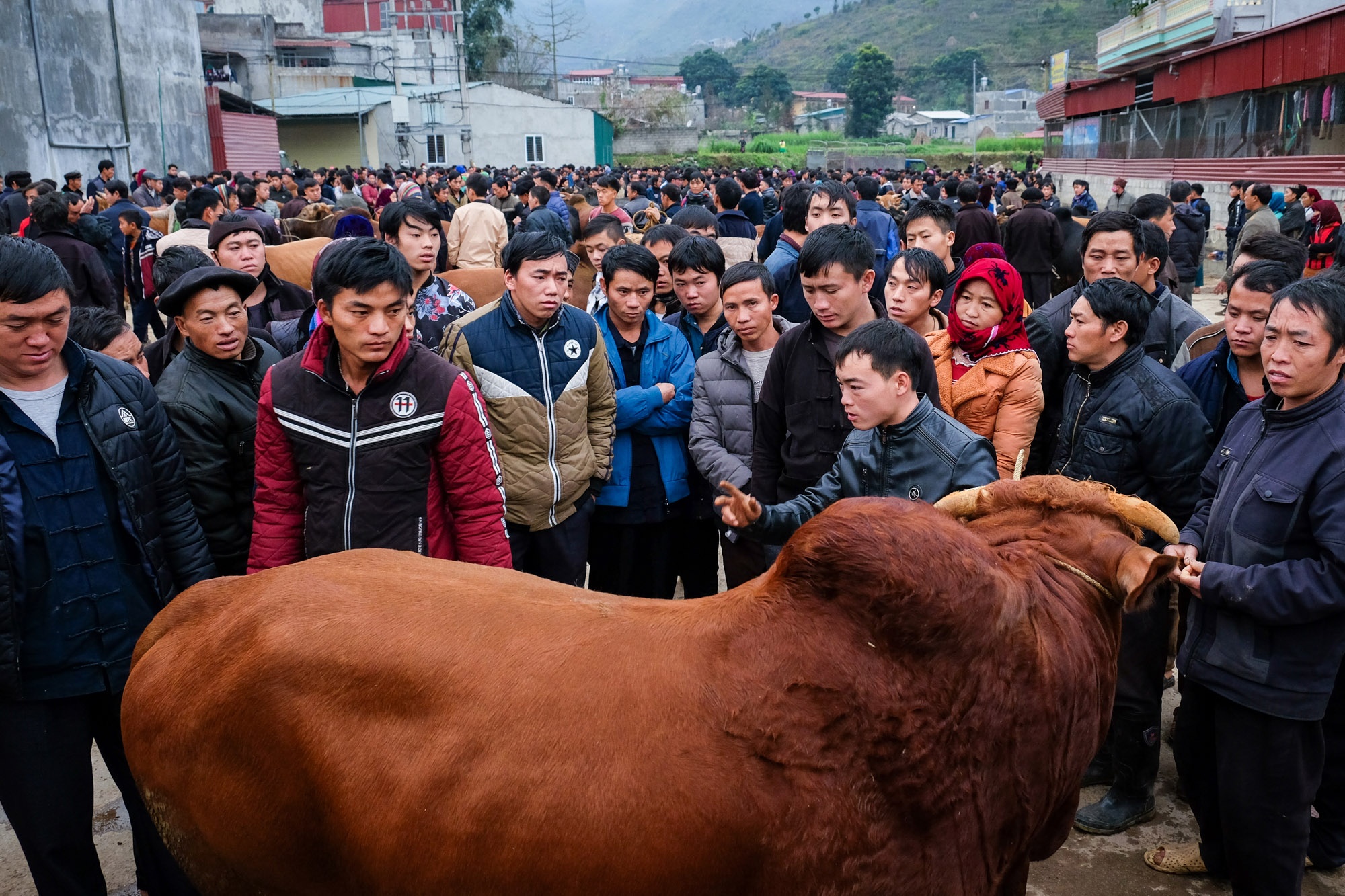 Phien cho mua xuan o Ha Giang anh 3
