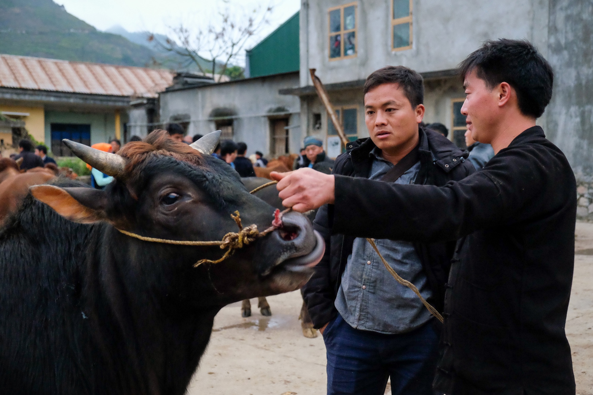 Phien cho mua xuan o Ha Giang anh 4