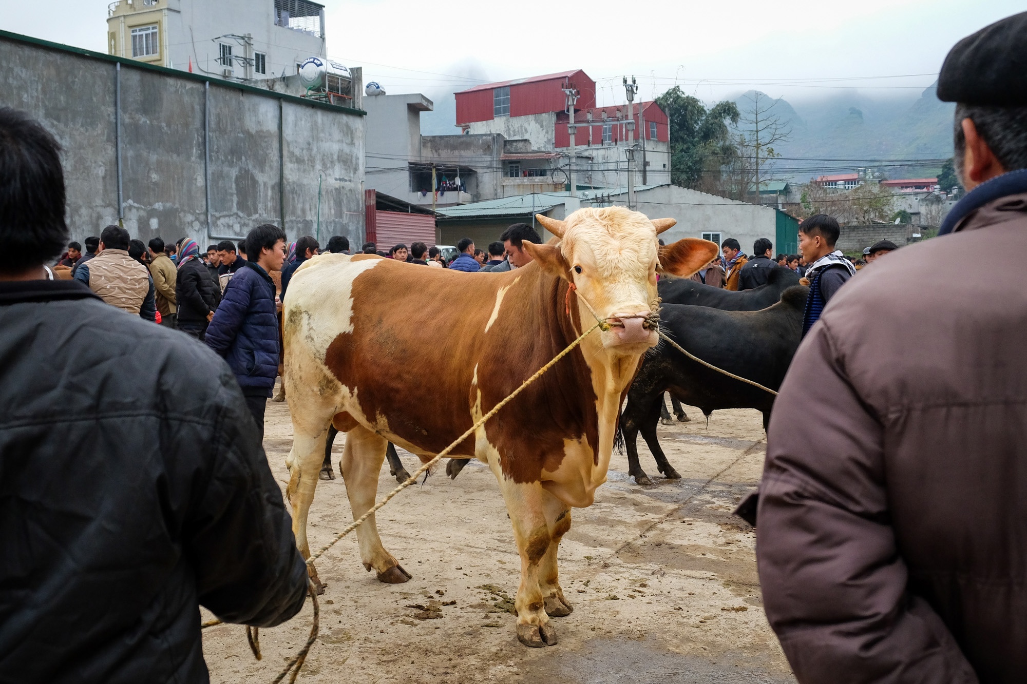 Phien cho mua xuan o Ha Giang anh 7