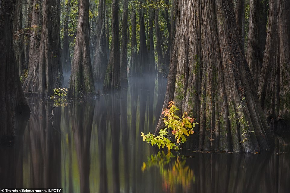 Cuoc thi nhiep anh gia phong canh quoc te anh 10