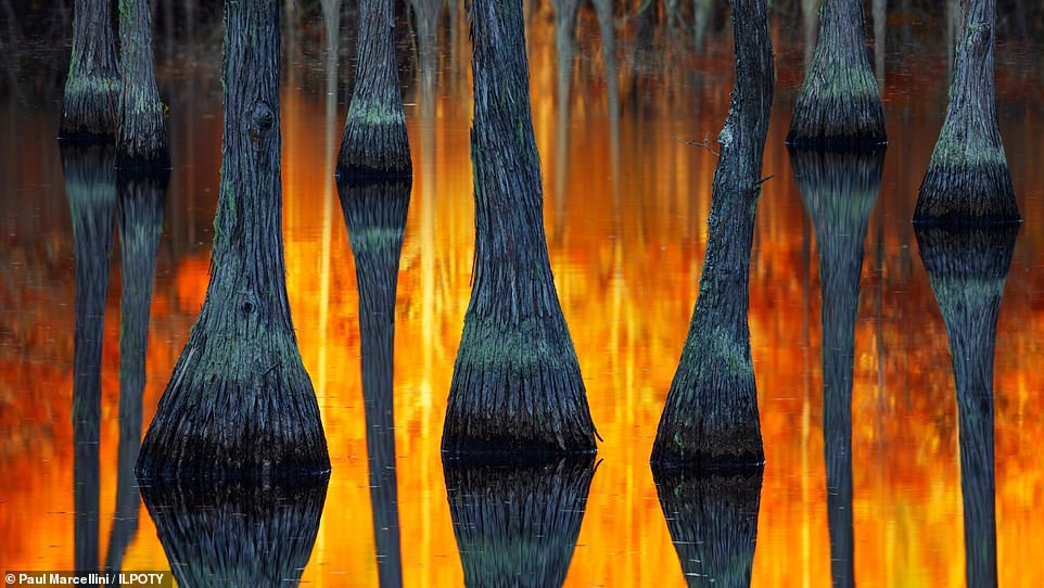 Cuoc thi nhiep anh gia phong canh quoc te anh 2