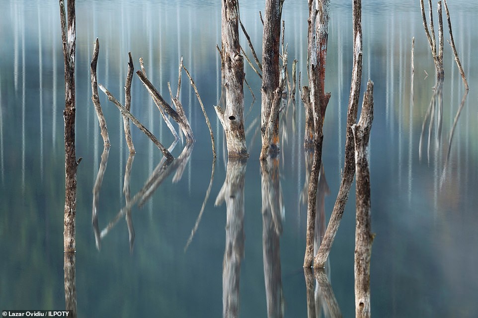 Anh chien thang cuoc thi Nhiep anh gia Phong canh quoc te hinh anh