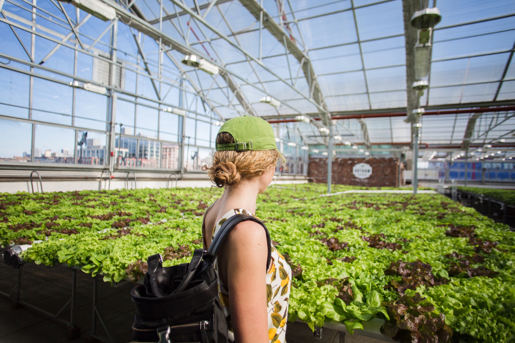 Kho vang 6.000 tan cho du khach tham quan o New York anh 13