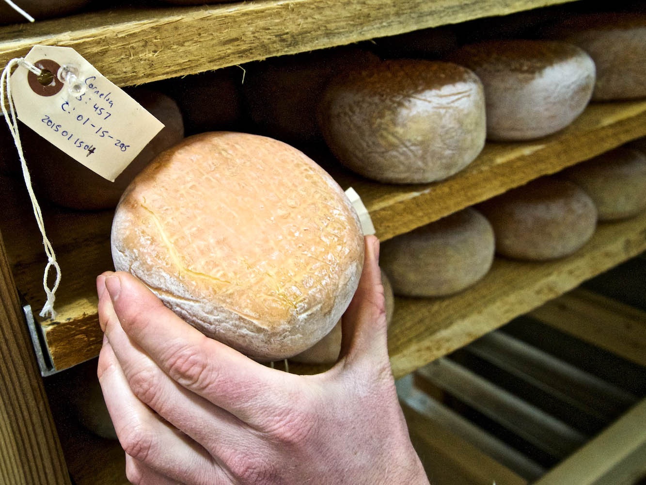 Kho vang 6.000 tan cho du khach tham quan o New York anh 4