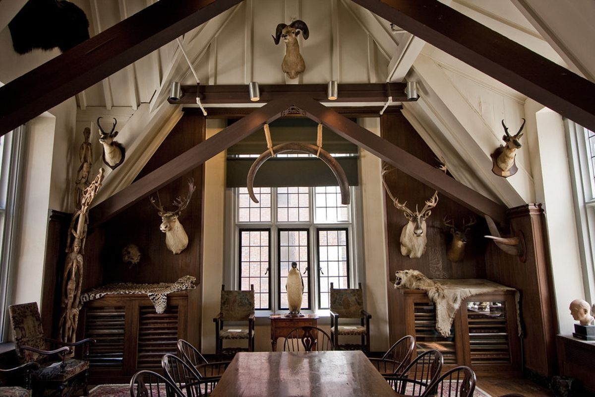 Kho vang 6.000 tan cho du khach tham quan o New York anh 10