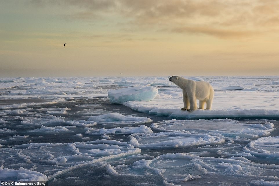 Nhiep anh gia chup anh Bac Cuc anh 1