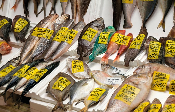 An thu do tuoi song tai cho hai san lon nhat nuoc Anh hinh anh