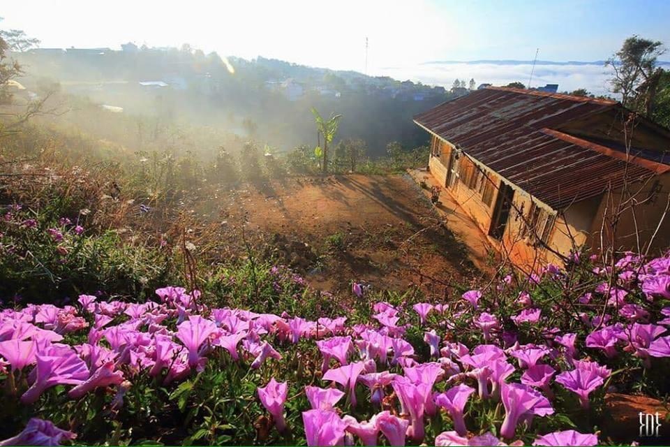 Lịch sử hình thành Đà Lạt ảnh 5 Lich su hinh thanh Da Lat anh 5