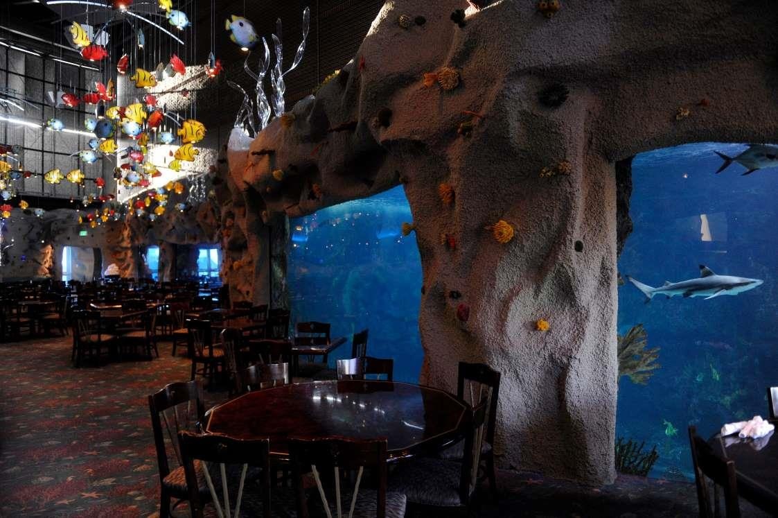 Nhung nha hang duoi nuoc tren the gioi anh 12