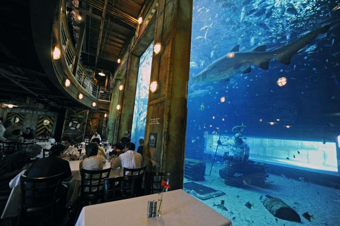 Nhung nha hang duoi nuoc tren the gioi anh 5